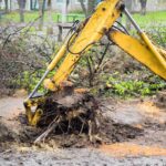 Choosing the Best Stump Grinder Hire in Sydney for DIY Projects