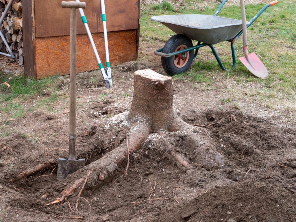 Stump-Removal