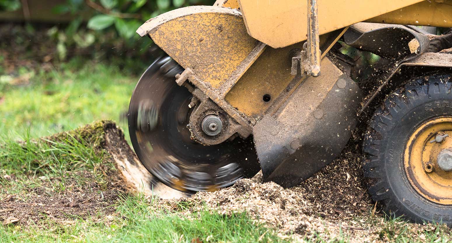 Stump-grinding