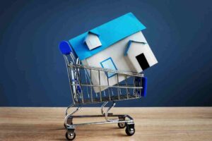 Miniature house with a blue roof in a shopping cart.