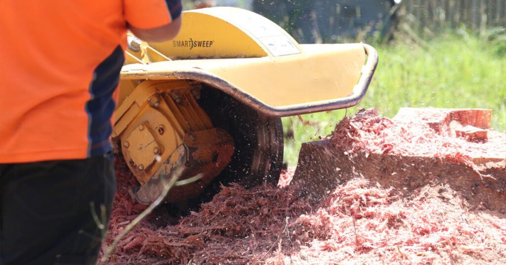 Affordable Stump Grinding Services for Your Backyard