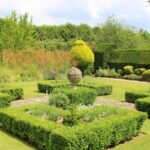 The Art of Hedge Shaping: Turning Bushes into Beautiful Features