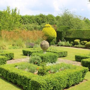 The Art of Hedge Shaping: Turning Bushes into Beautiful Features The current image has no alternative text. The file name is: Stump-removal.jpg Replace