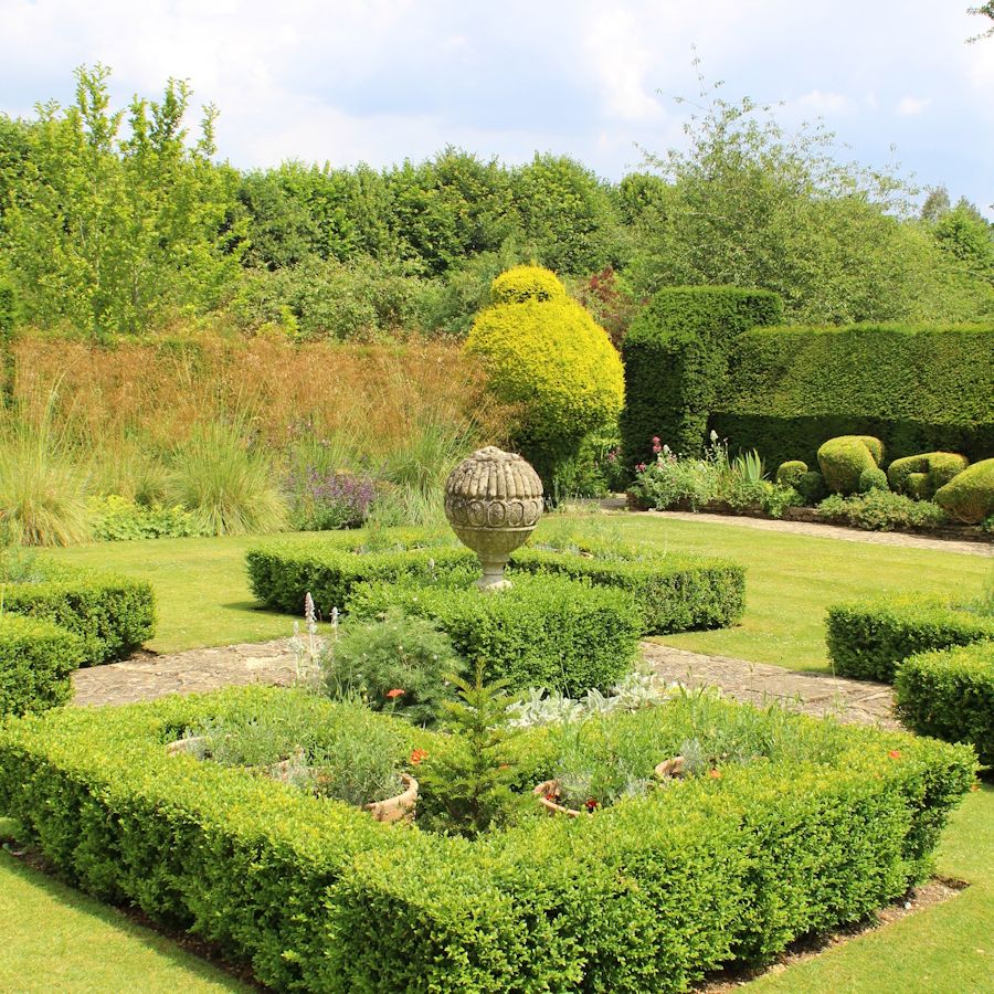 The Art of Hedge Shaping: Turning Bushes into Beautiful Features The current image has no alternative text. The file name is: Stump-removal.jpg Replace