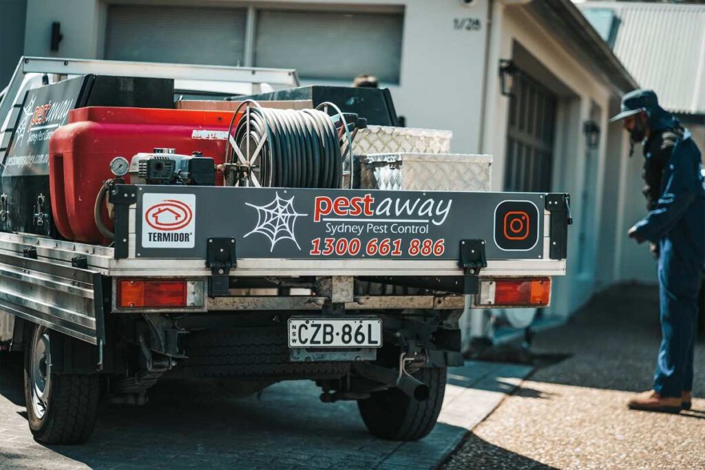 pest and termite control