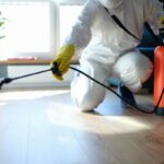 Pest Control West Pennant Hills: Protecting Gardens, Flowers, and Homes From Seasonal Pests