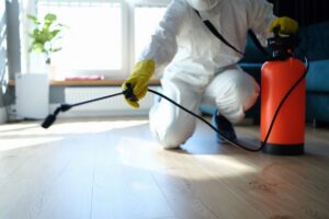 pest and termite control
