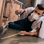 Pest Control Katoomba: A Pet-Friendly Home Guide to Managing Household Pest Risks